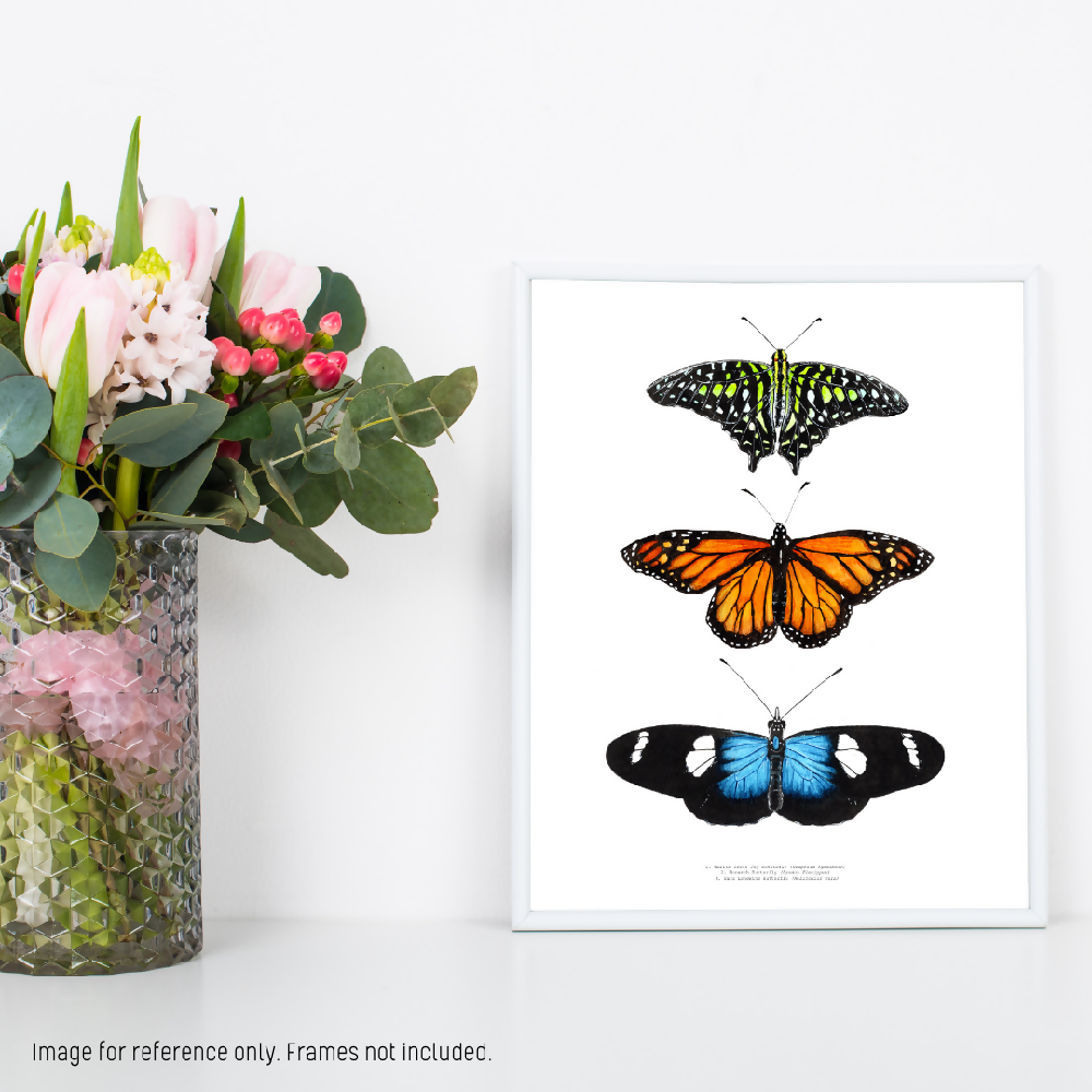 fauna series - butterfly trio