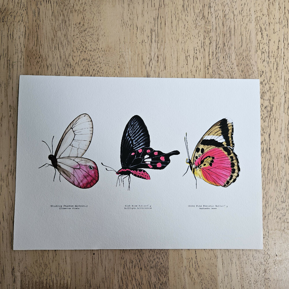 art print - the fauna series  pink butterfly trio