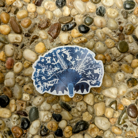 Echidna Sticker that saves Wildlife!