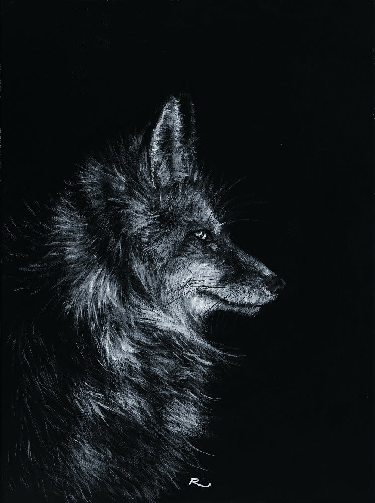 Thoughtful Fox. 445x610. Acrylic on Canvas. Nocturnal Series. Renee Mitchell. Smaller