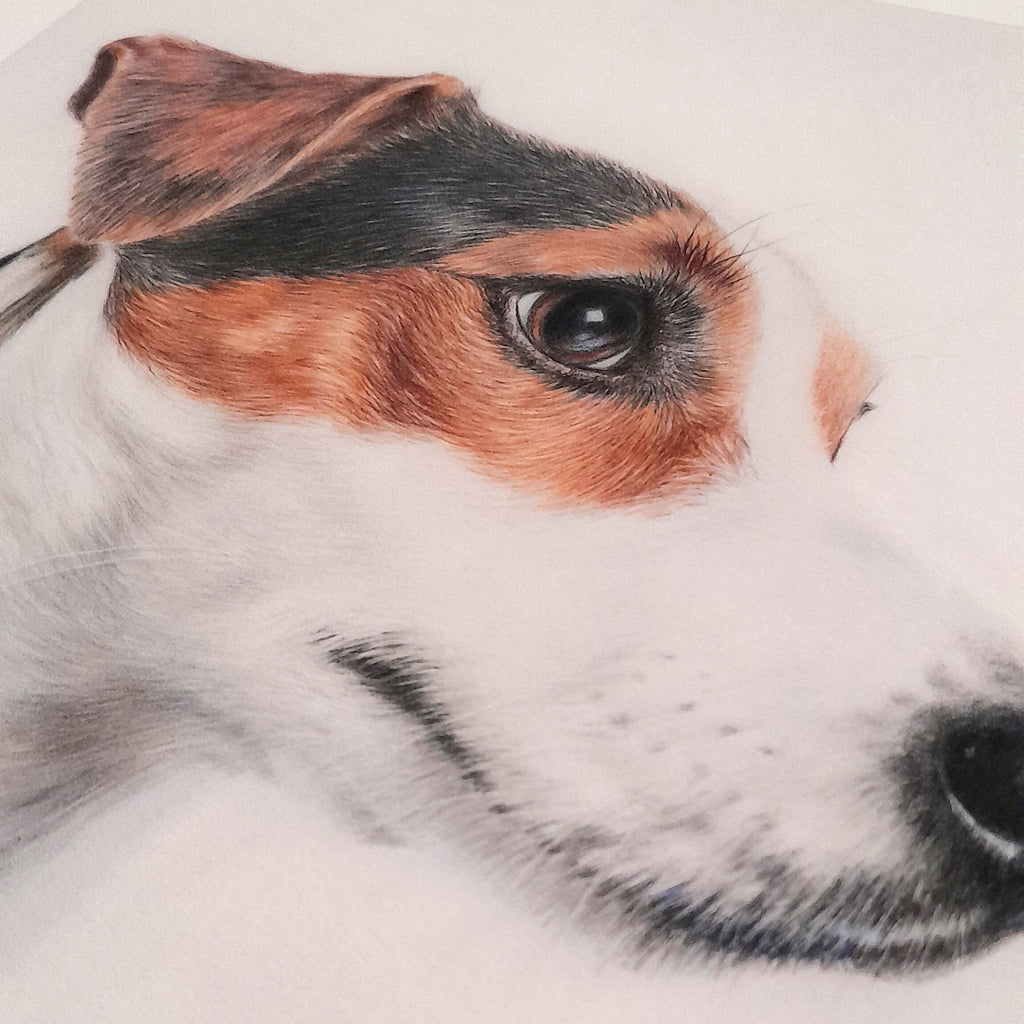 Dog | Jack Russell | Fine Art Print " Puppy Dog Eyes" | Wall Art