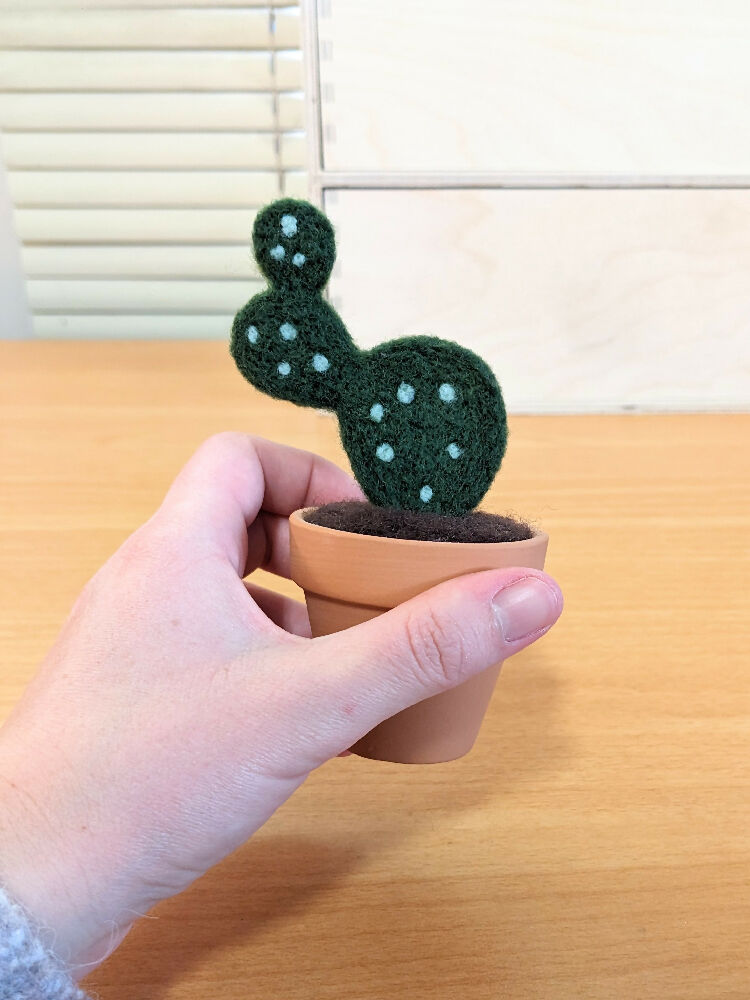 Needle Felted Succulent in Pot - Paddle Cactus / Prickly Pear