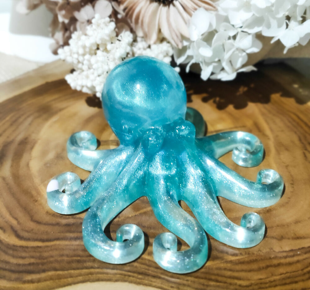RM - Octopus