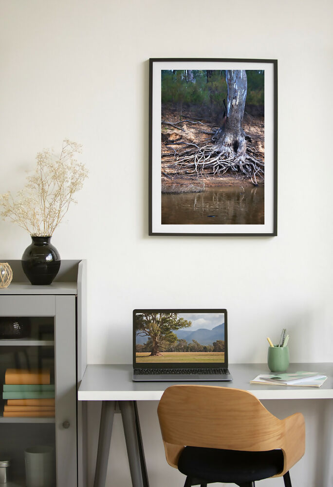 Murray-River-TREE-frame-with-interior-1024x700-WEB-