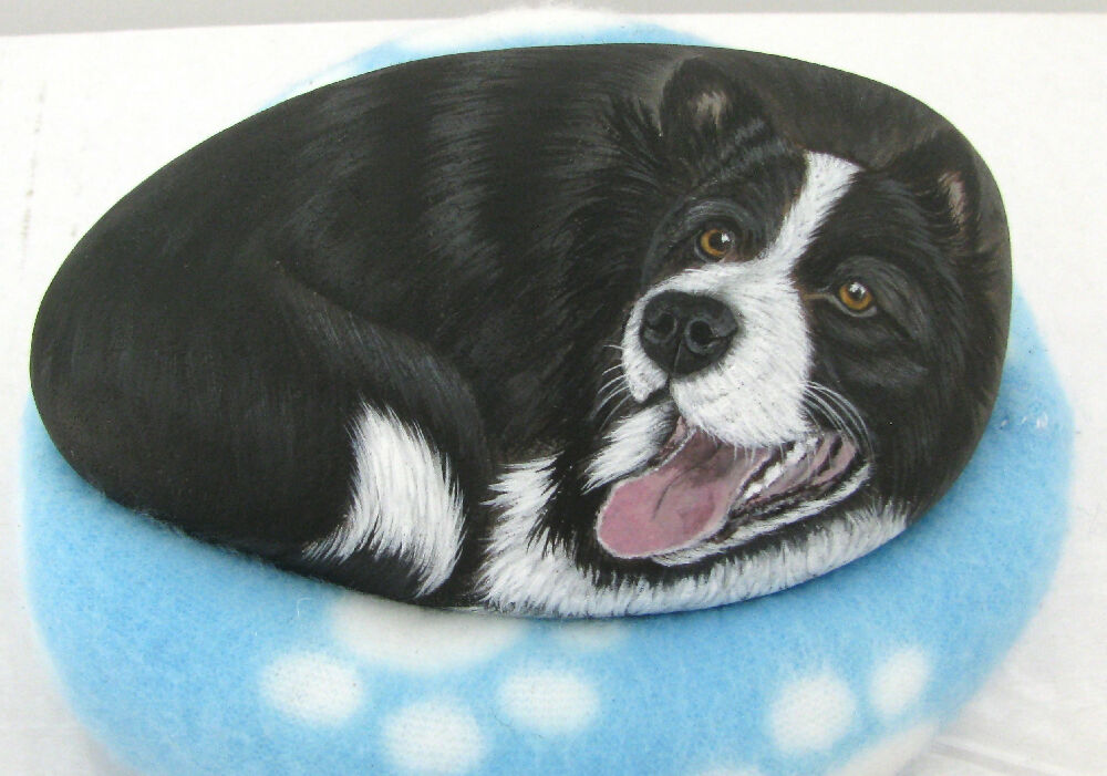 Border Collie hand painted on stone