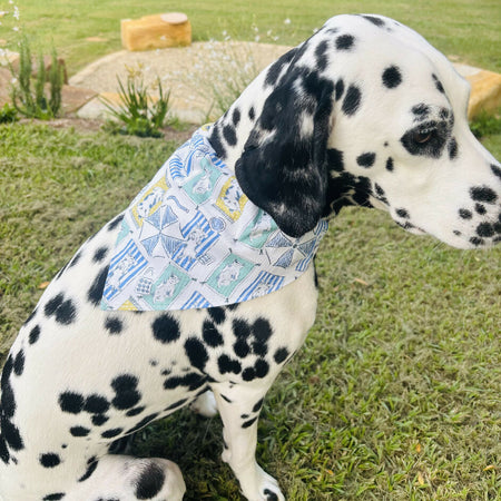 Dog Bandana Beachy Blue