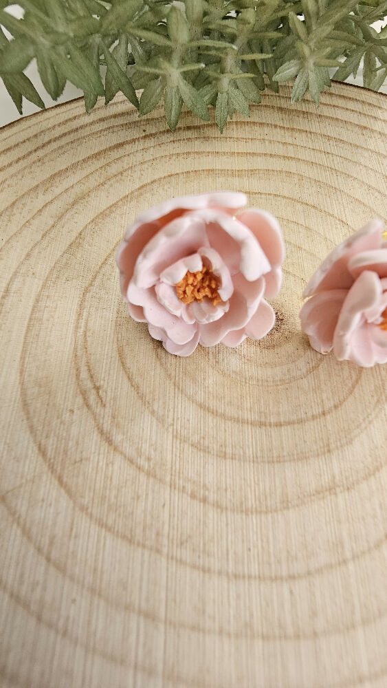 pink camelias (7)