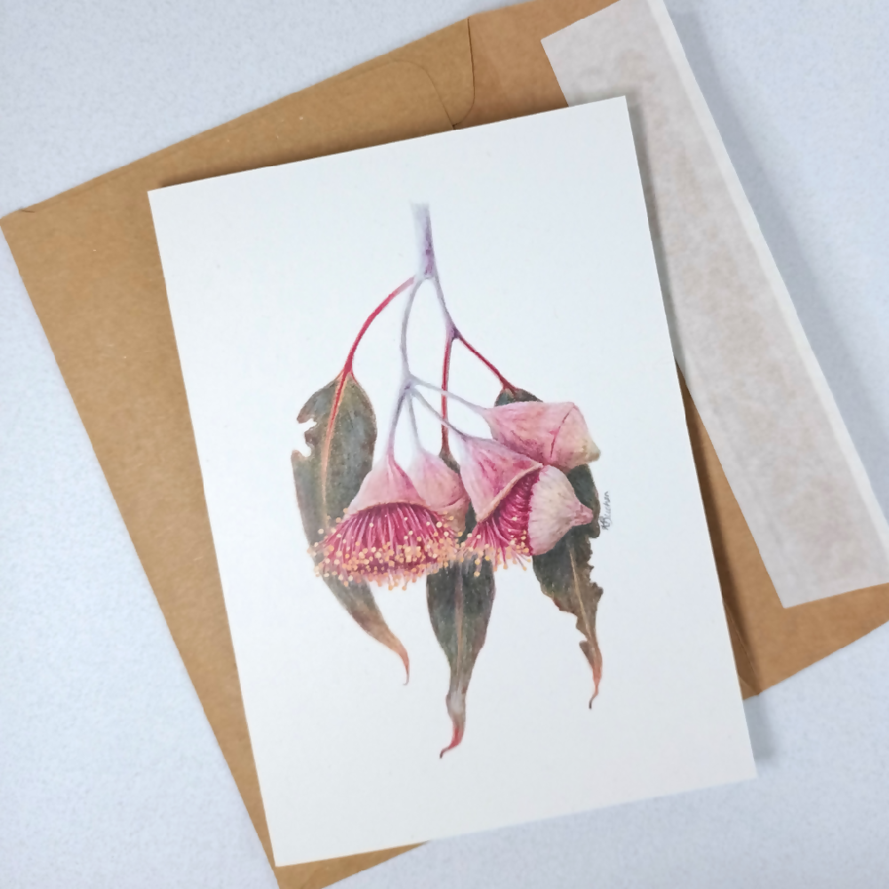 Australian-artist-greeting-card-eucalyptus-caesia-silver-princess-with-envelope