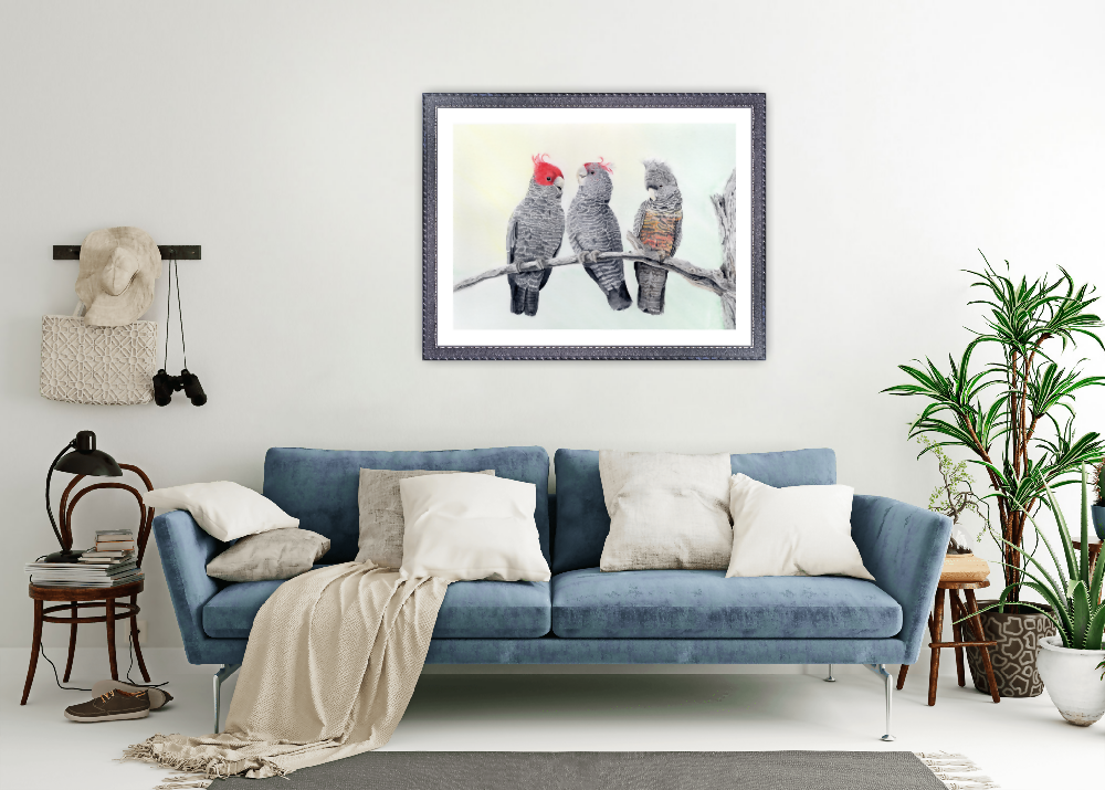 watercolor wall art print gang gang cockatoo