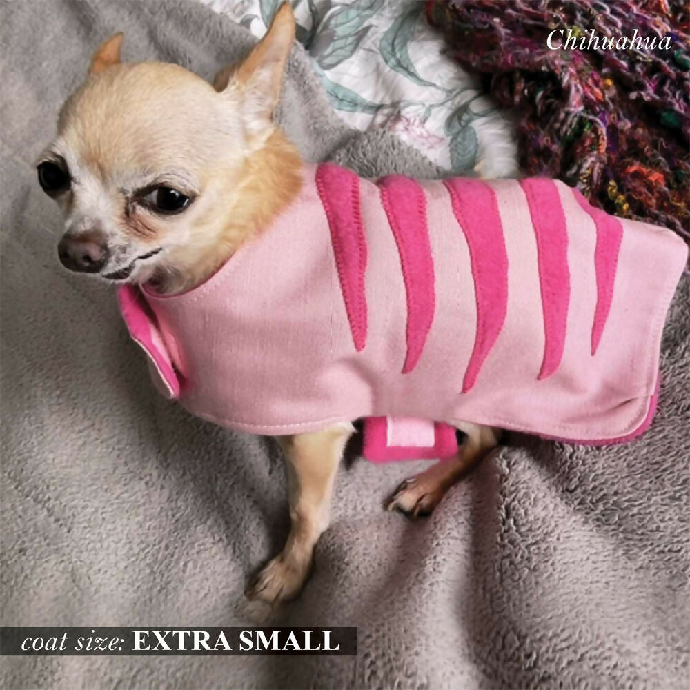 pretty dog pink_model_xs_low res