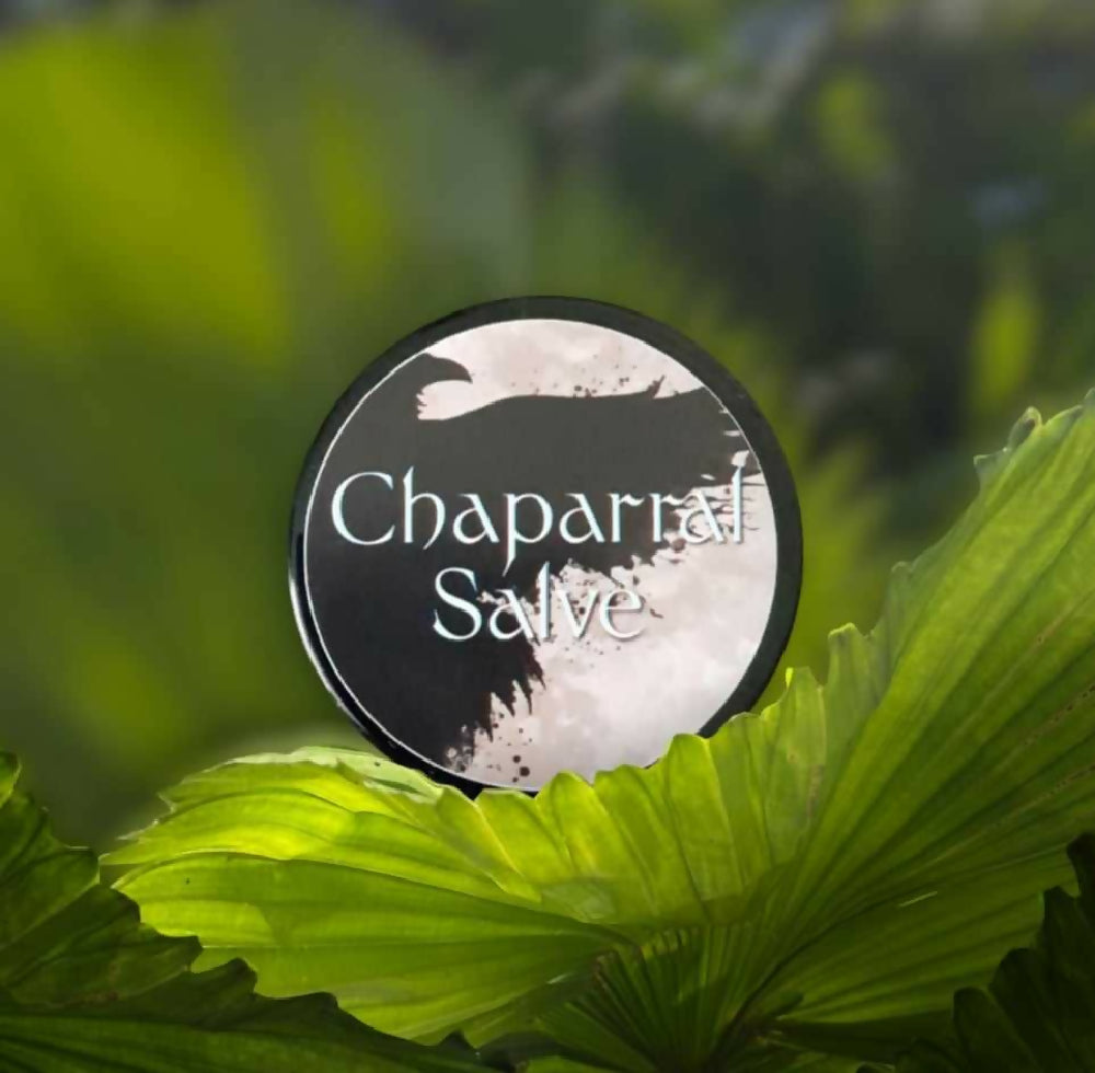 Chaparral Salve on leaf