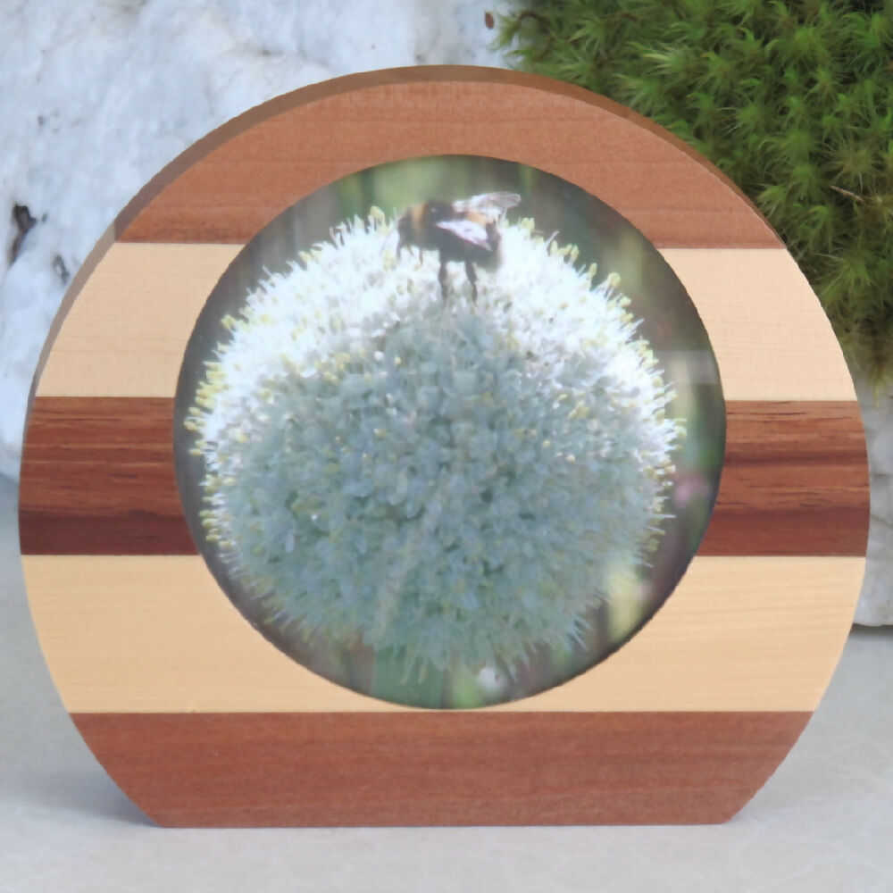 Small Rounded Photo Frame- Myrtle, Huon Pine & Blackwood