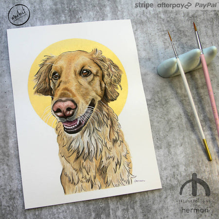 Custom Portrait | Line & Wash | Gold Accent | 26x18cm | Pet Portrait | FRAMED