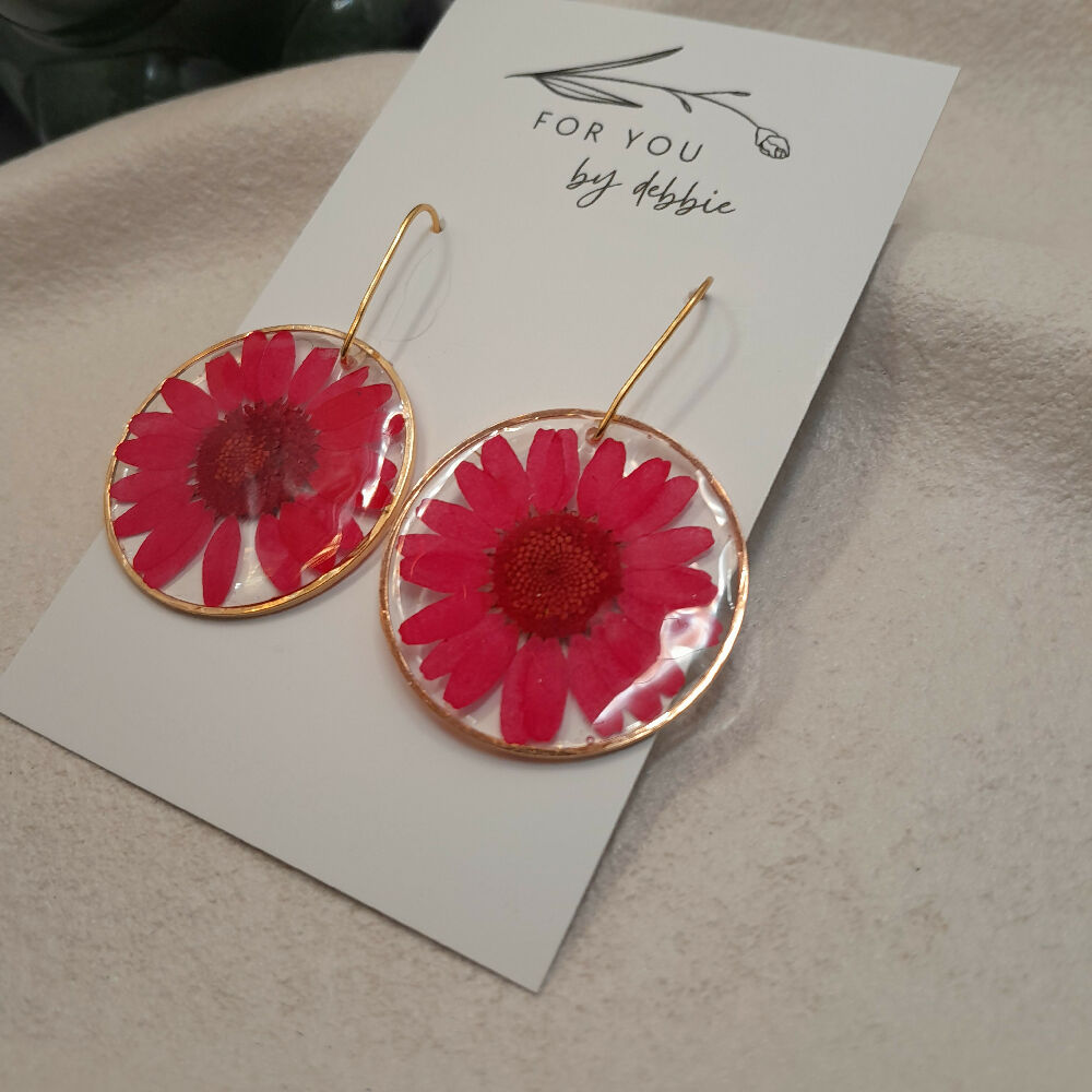 Real daisy flower resin earrings -red, gold, hypoallergenic
