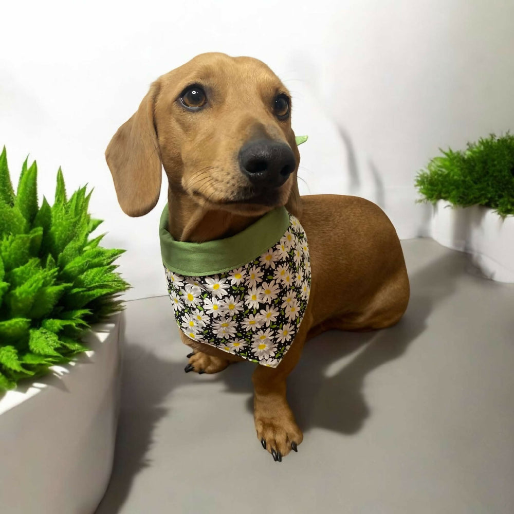 green daisy bandanna 