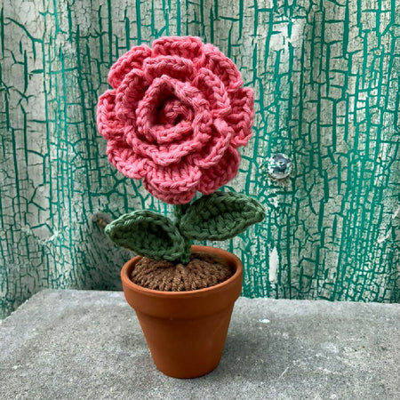 Crochet Rose Fower in Pot