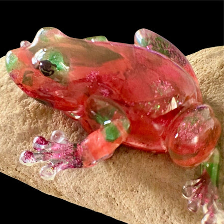 Pink Blush Frog