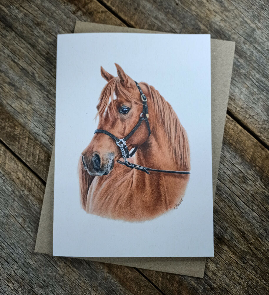 Blank Greeting Card - Arabian Horse