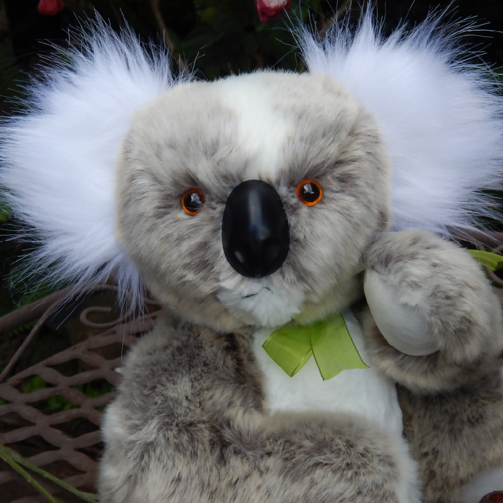 One of a Kind Koala Teddy Bear, Koala Teddy