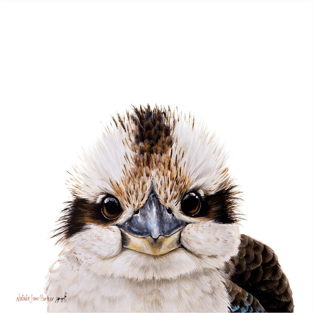 Laughing Kookaburra_300mm_1px edge