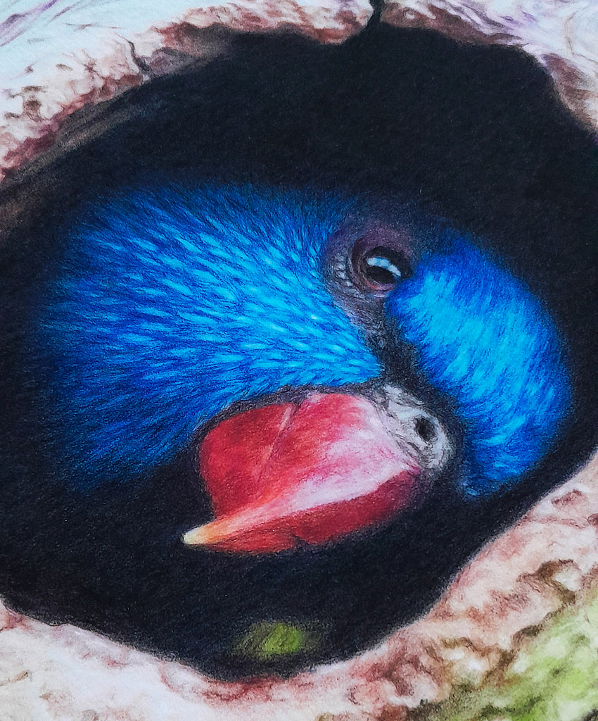 Rainbow Lorikeet | Fine Art Print "Peek A Boo" |Australian Native Bird | Wall Art