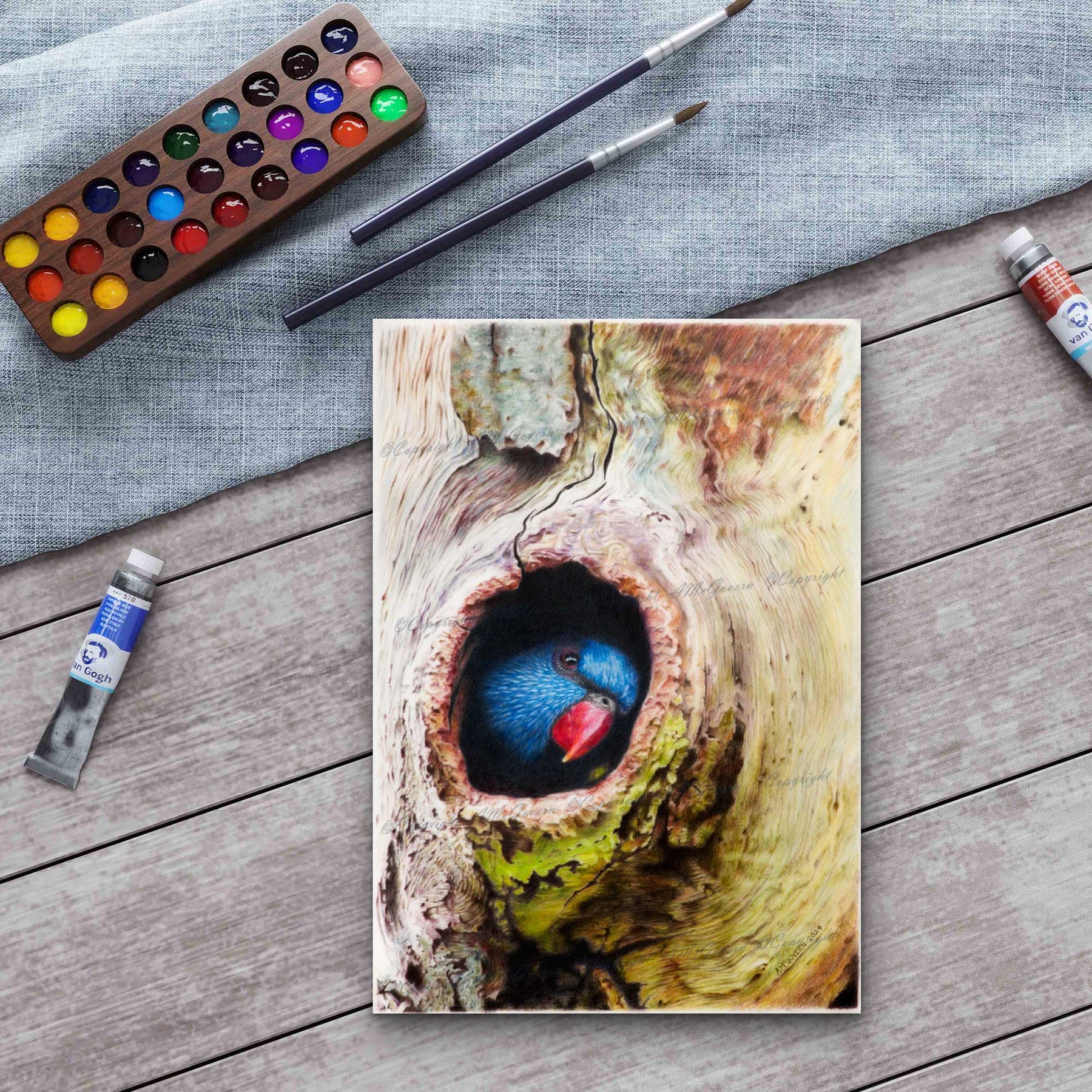 Rainbow Lorikeet | Fine Art Print "Peek A Boo" |Australian Native Bird | Wall Art