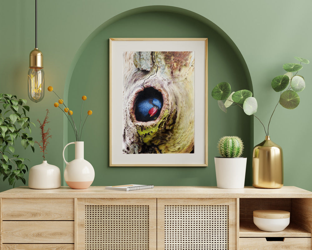 Rainbow Lorikeet | Fine Art Print "Peek A Boo" |Australian Native Bird | Wall Art