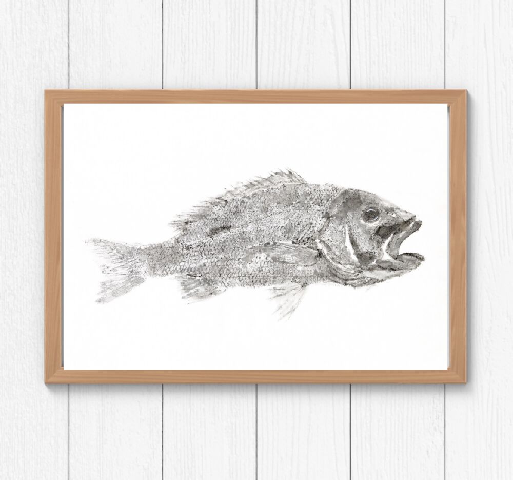 wall-art-gyotaku 4