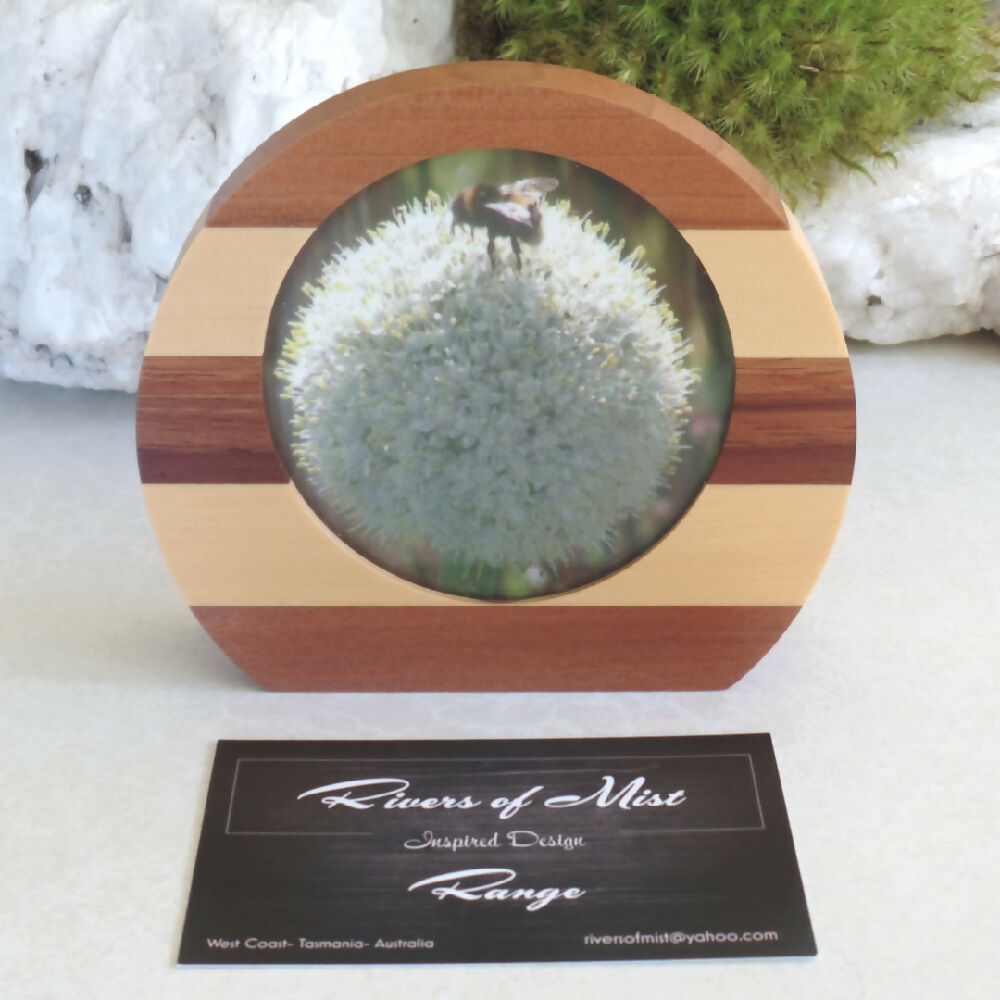 Small Rounded Photo Frame- Myrtle, Huon Pine & Blackwood