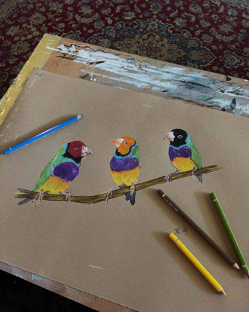 469389887_18013309298650349_3511126238819403471_n