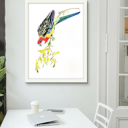 Fine Art Print, Australian Eastern Rosella A4 print