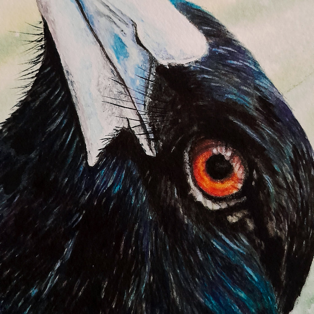 Magpie | " Maggie" Fine Art Print | Wall Art | Australian Native Bird