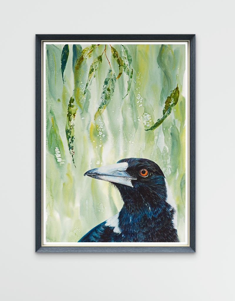 Magpie | " Maggie" Fine Art Print | Wall Art | Australian Native Bird