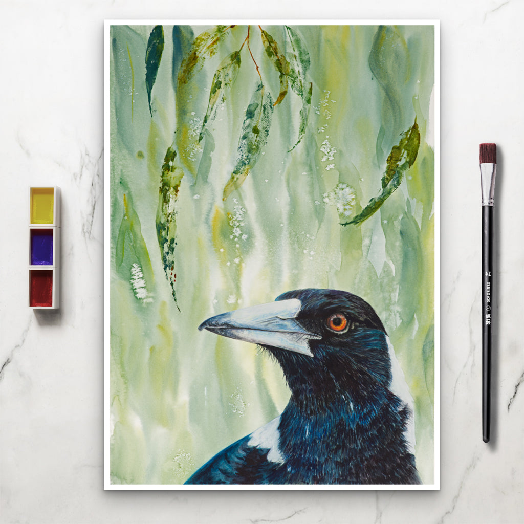 Magpie | " Maggie" Fine Art Print | Wall Art | Australian Native Bird