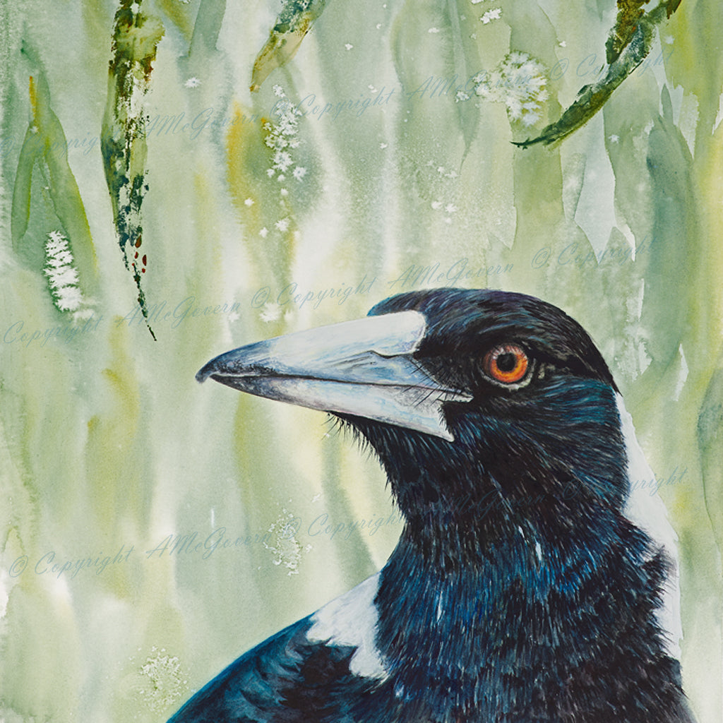 Magpie | " Maggie" Fine Art Print | Wall Art | Australian Native Bird