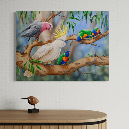 Galah with Sulphur-crested Cockatoo, Rainbow Lorikeets and Eastern Dwarf Tree Frog - Titled 