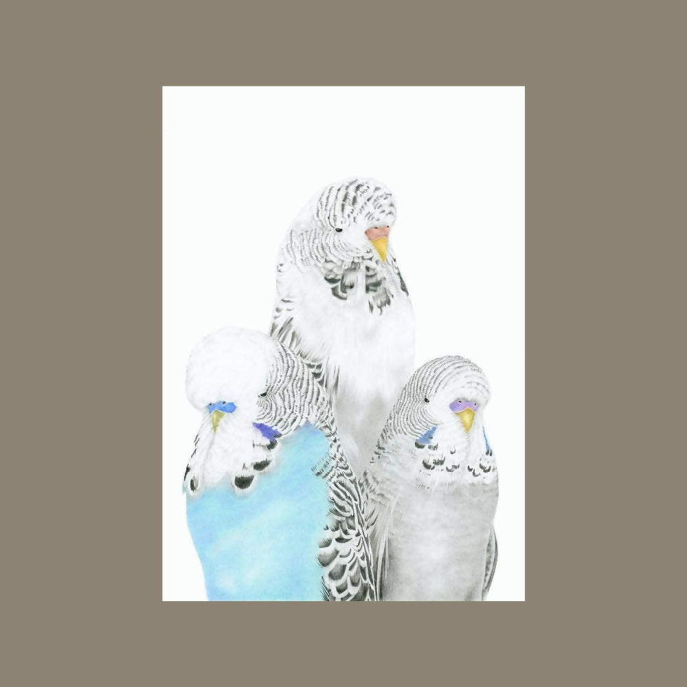 petportraitexample3budgies