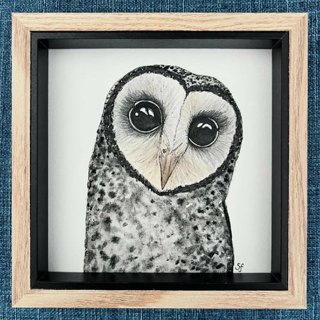 Little sooty owl frame