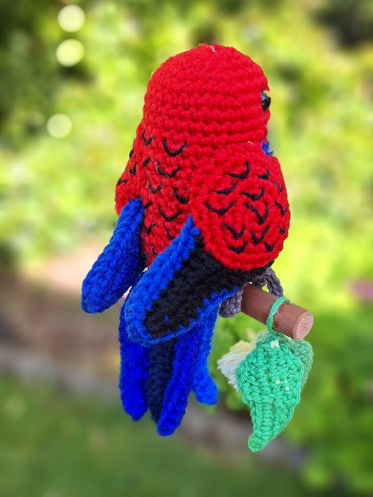 crimson rosella rear