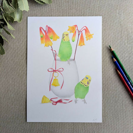 Budgies and bells original drawing in coloured pencil.