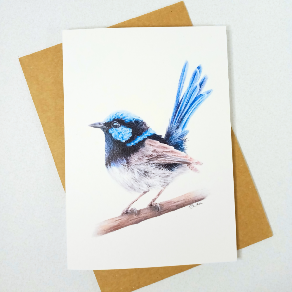 Australian-artist-greeting-card-superb-fairy-wren-front