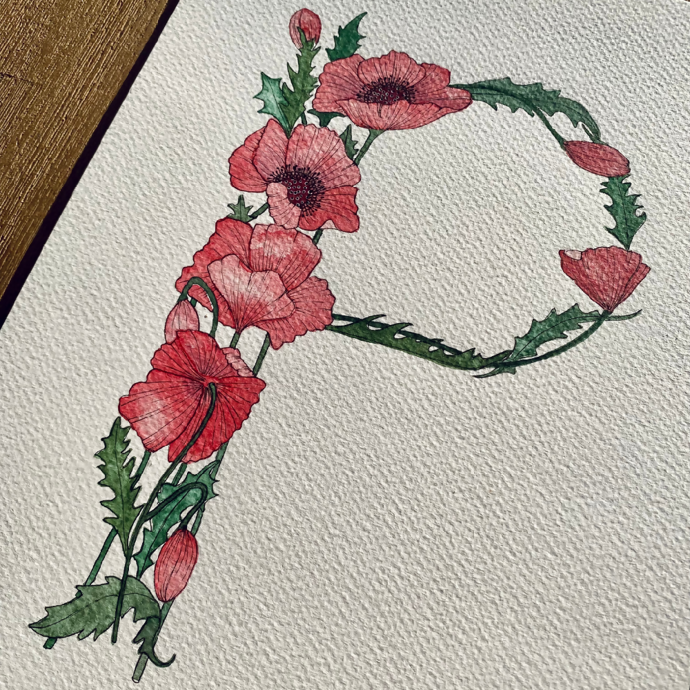P is for Poppy - Original A4 Watercolour Illustration