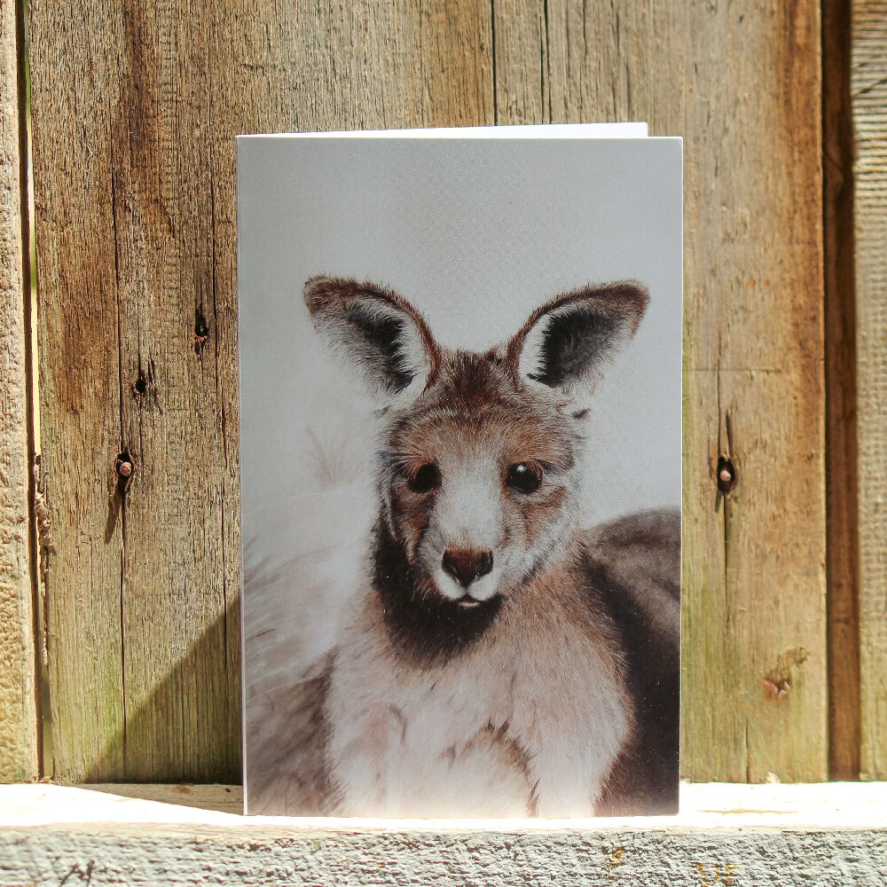 kangaroo art card by D Prentice