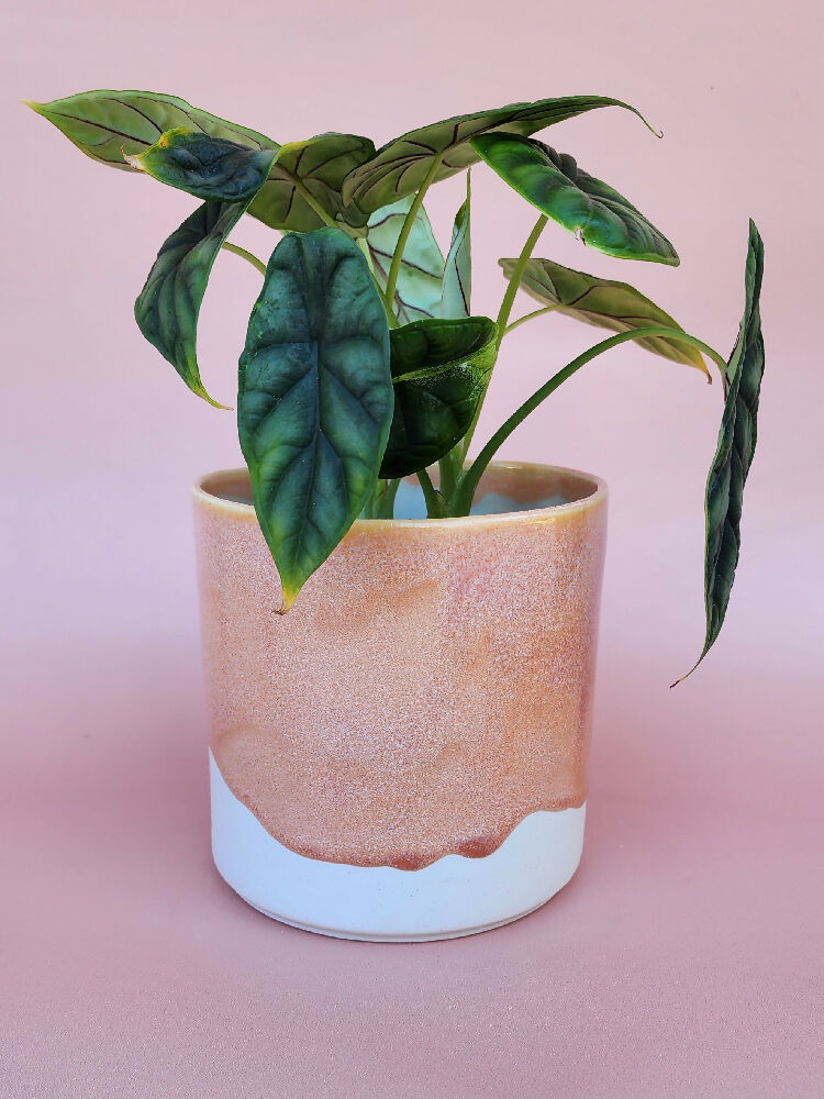 Handmade Ceramic Cover Pot - Peach Glaze