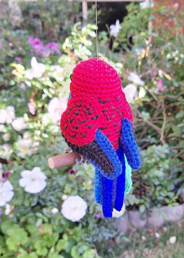 rosella side view