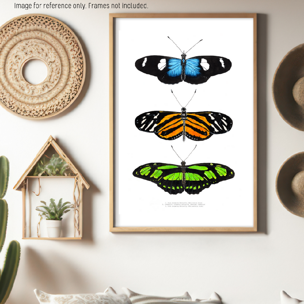 art print - the fauna series - longwing butterfly trio