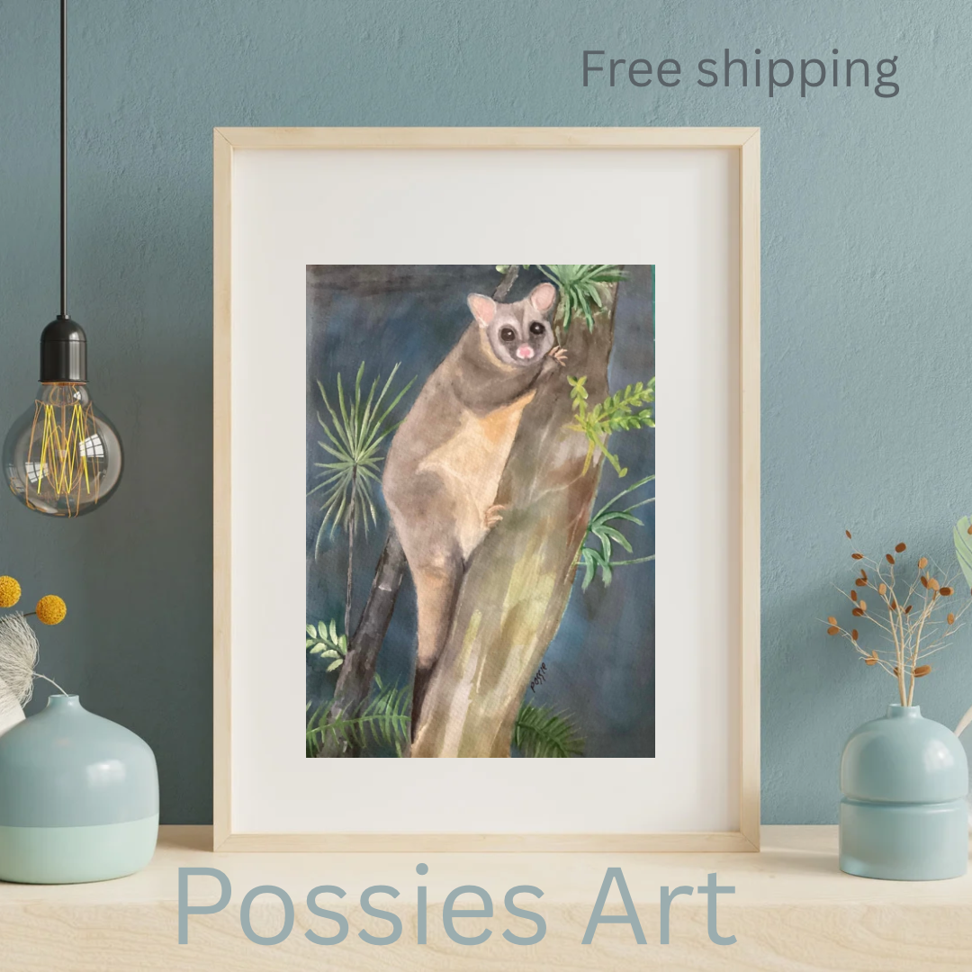 Australian possum