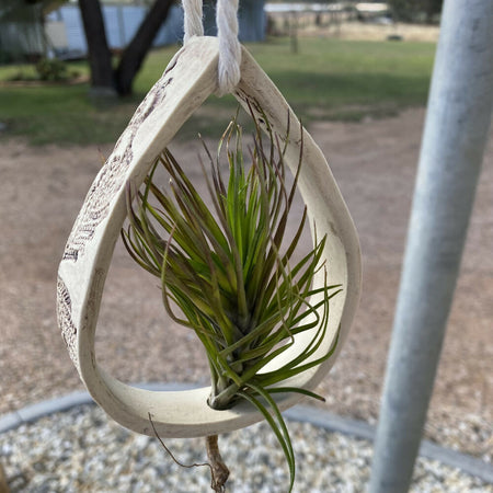 Tear Drop Air Plant Hanger/Handmade Pottery