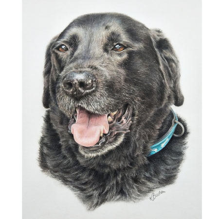 Pet Portrait | Custom | Hand Drawn in Coloured Pencil