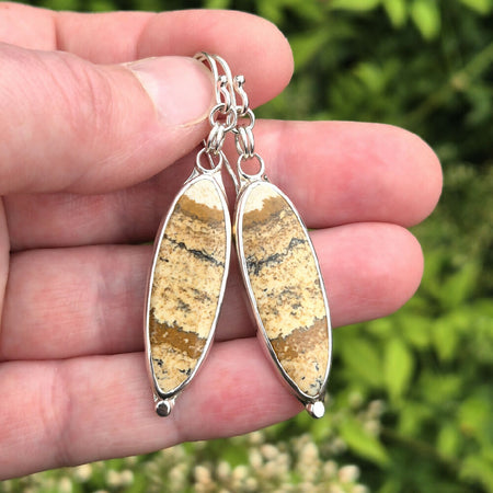 Picture Jasper Silver Dangles